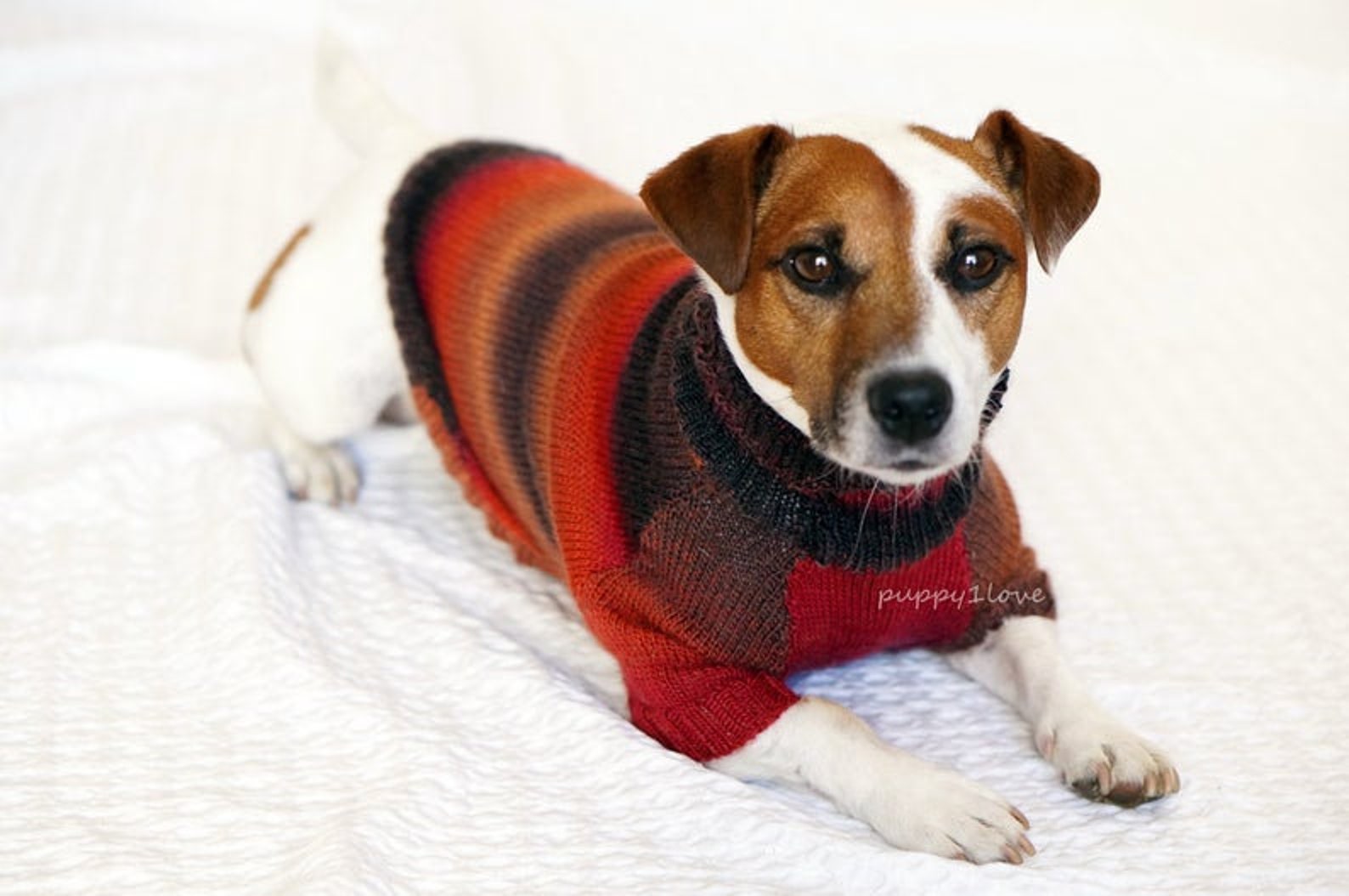 Warm Dog Sweater Winter Dog Sweater for Jack Russell Terrier Etsy