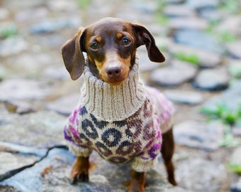 Fashion dog clothing - Dachshund donuts sweater - Alpaca - Hand knitted - Turtleneck - Pet Sweater - Small dog clothes - Custom Dog Clothing