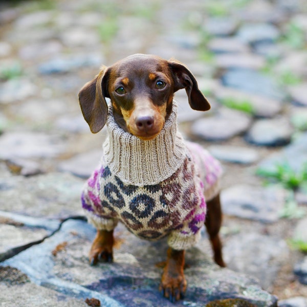 Fashion dog clothing - Dachshund donuts sweater - Alpaca - Hand knitted - Turtleneck - Pet Sweater - Small dog clothes - Custom Dog Clothing