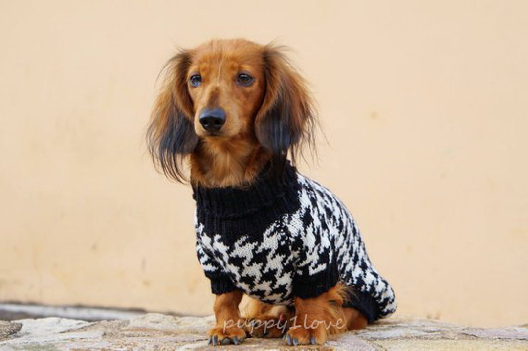 犬のニットセーター千鳥格子-ダックスフンドのセーター-犬の服