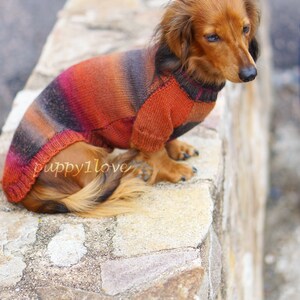 Dachshund Sweater Dog Clothes Dog clothing Dog sweater Dachshund clothes Wiener dog Dog winter clothes Winter dog sweater image 5