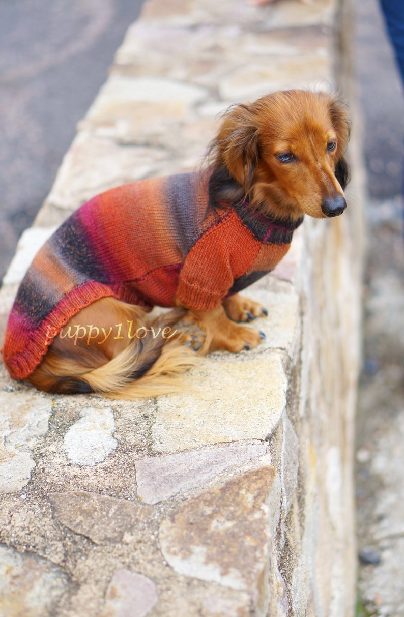 Dachshund Sweater Dog Clothes Dog clothing Dog sweater Dachshund clothes Wiener dog Dog winter clothes Winter dog sweater image 5