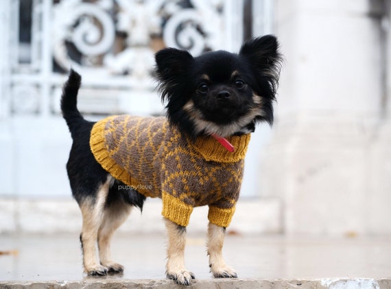 Gucci dog clothes Chihuahua sweater 