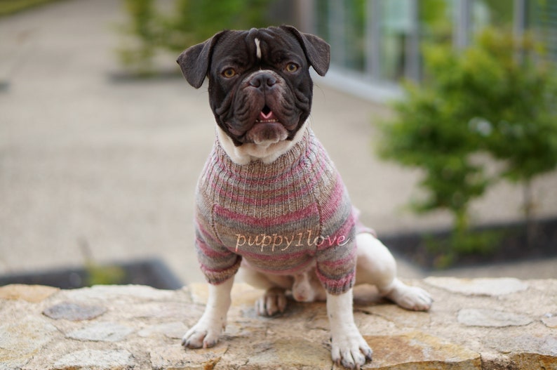 Frenchie clothing Knitted dog jumper Sweater for bulldog Etsy