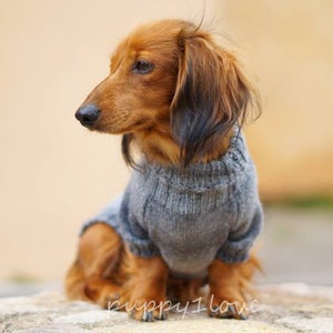 May include: A brown and tan dachshund wearing a gray knitted sweater. The dog is sitting on a rock and looking to the left.