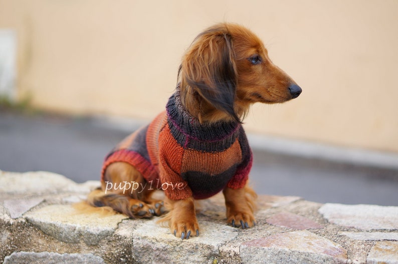 Dachshund Sweater Dog Clothes Dog clothing Dog sweater Dachshund clothes Wiener dog Dog winter clothes Winter dog sweater image 1