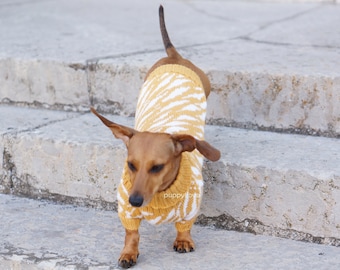 Disfraz de tigre para perro - Suave como la alpaca - Halloween - Suéter de invierno para perro salchicha - Animales graciosos - Perros adorables - Disfraz de perro salchicha - Dackel - Wiener