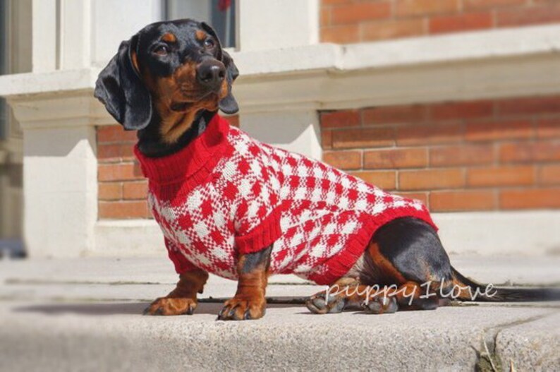 May include: A black and brown dachshund wearing a red and white checked sweater. The dog is sitting on a step with a brick wall in the background.