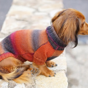 Dachshund Sweater Dog Clothes Dog clothing Dog sweater Dachshund clothes Wiener dog Dog winter clothes Winter dog sweater image 7