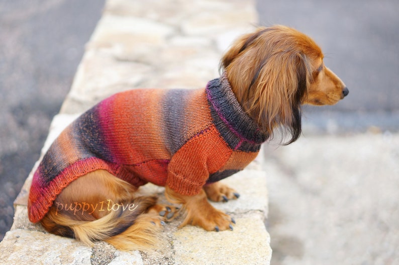 Dachshund Sweater Dog Clothes Dog clothing Dog sweater Dachshund clothes Wiener dog Dog winter clothes Winter dog sweater image 7