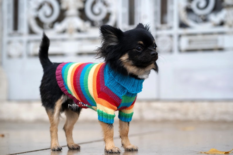 Chihuahua Clothes Gay Pride Dog Clothes LGBT Love is Etsy