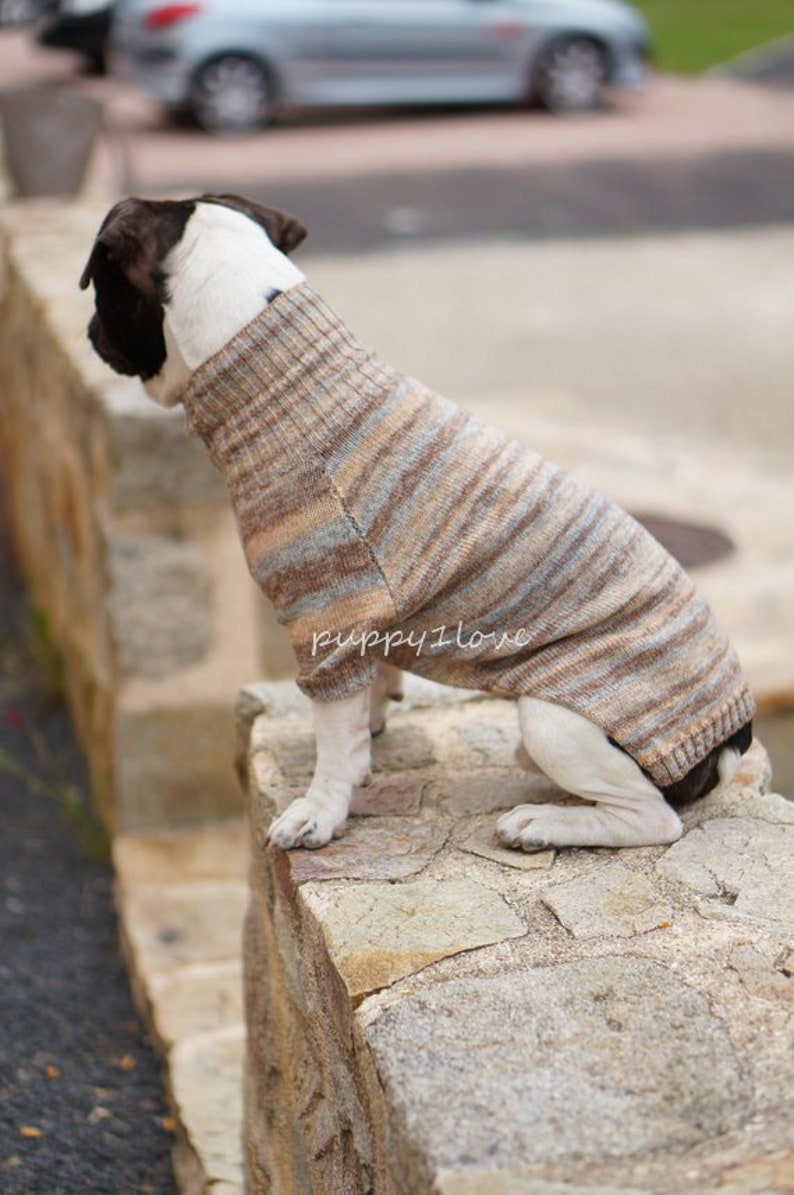 Dog Clothes Frenchie Clothing Dog Sweater French Bulldog Etsy UK