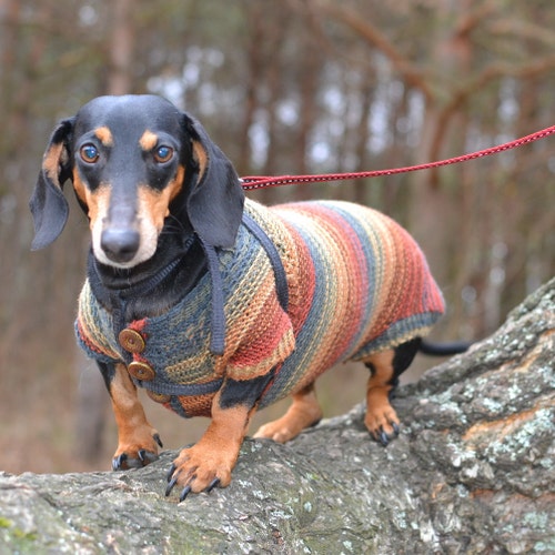 Jecikelon Hundepullover Mit Karomuster – Warm, Gestrickt, Für Kleine Hunde, Größe XS Bis XL