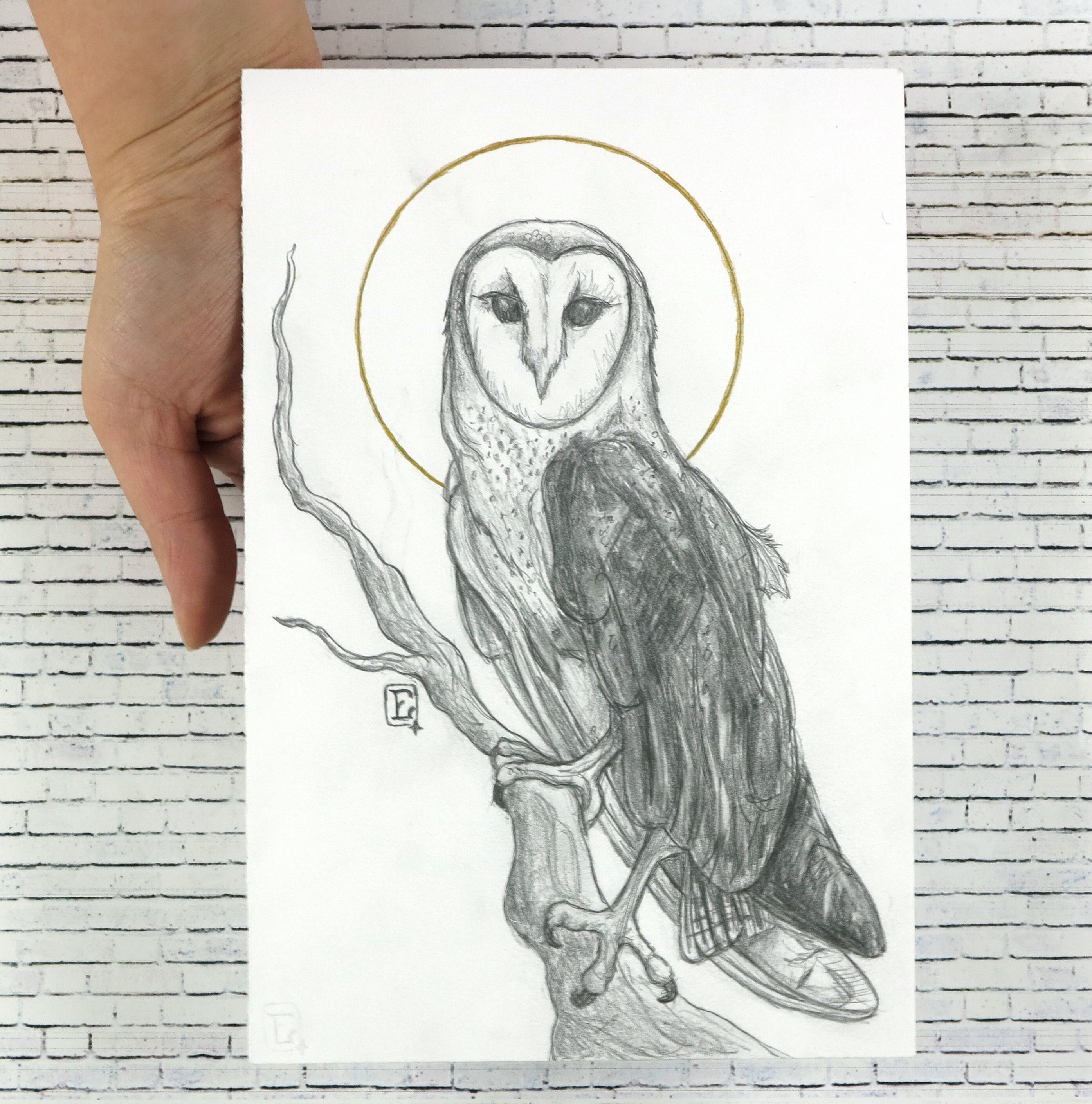 Watcher - Barn Owl Print - Etsy