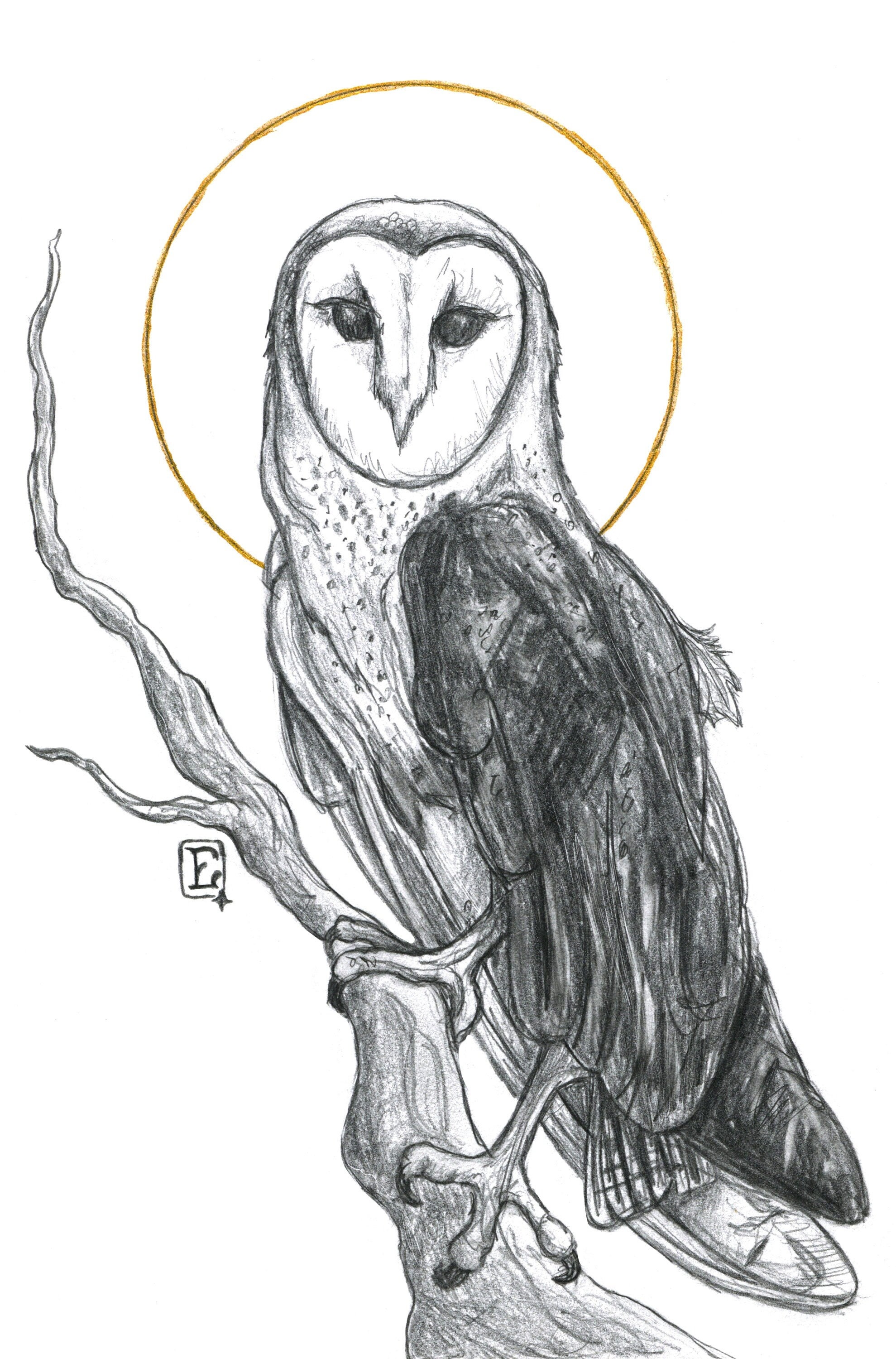 Watcher - Barn Owl Print - Etsy