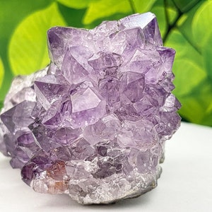 May include: A large amethyst cluster with many points and a deep purple color. The crystal is raw and unpolished, with a natural, rough texture.