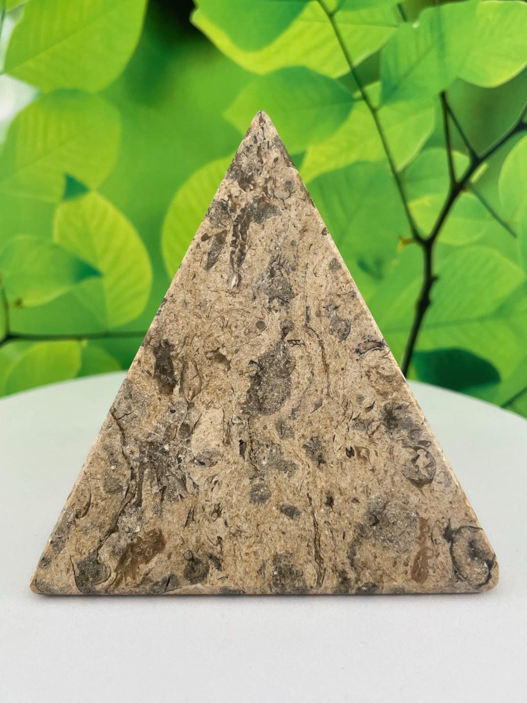 CORAL FOSSIL PYRAMID - Etsy