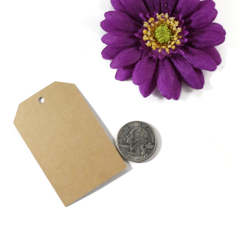 May include: A blank, rectangular brown paper tag with a hole at the top, next to a UK coin and a purple flower with a yellow centre. The tag is likely for labelling or crafting purposes.