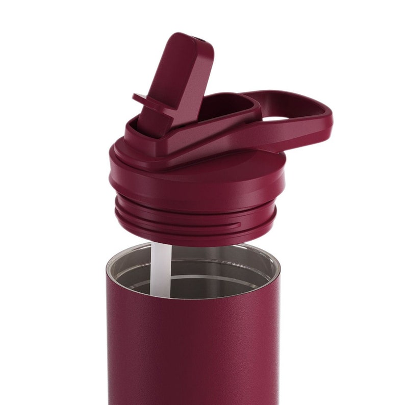 Big Sister Big Brother Kids Water Bottle Engraved Design with Flip Top Lid