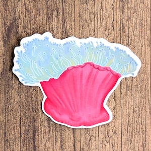 Sea Anemone Vinyl Sticker - Water Resistant Ocean Aquarium Decal