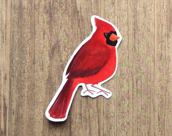 Cardinal Vinyl Sticker - Water Resistant Laptop Decal