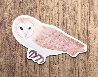 Barn Owl Vinyl Sticker - Water Resistant Decal