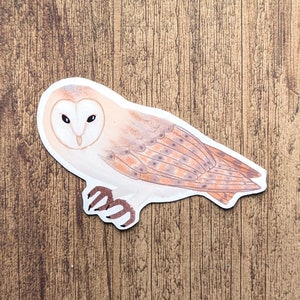 Barn Owl Vinyl Sticker - Water Resistant Decal
