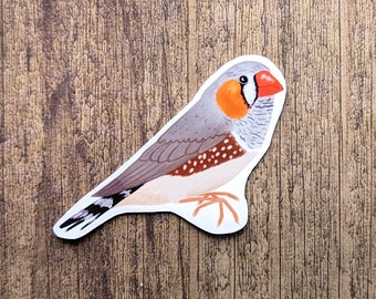Zebra Finch Vinyl Sticker - Cute Bird Decal For Water Bottle Or Laptop