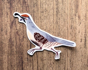 Gambel's Quail Vinyl Sticker - Water Resistant Laptop Decal