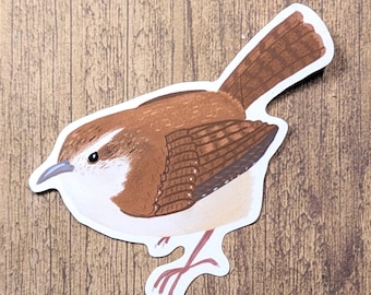 Carolina Wren Bird Vinyl Sticker - Water Resistant Laptop Decal