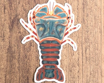 Slipper Lobster Vinyl Sticker - Water Resistant Laptop and Water Bottle Decal