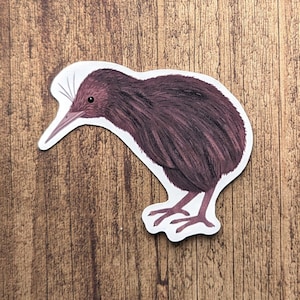 Kiwi Bird Vinyl Sticker - Water Resistant Decal