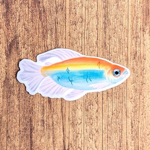 May include: A colorful sticker of a fish with a rainbow pattern on its body. The fish is white with blue and orange accents. The sticker is on a wooden background.