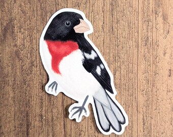 Rose Breasted Grosbeak Vinyl Sticker - Water Resistant Bird Decal