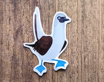 Blue Footed Booby Bird Vinyl Sticker - Water Resistant Decal