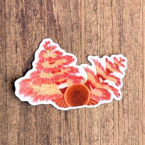 May include: A sticker featuring a stylized illustration of a red panda with a fluffy, textured appearance. The sticker has a white border and is set against a wooden background.