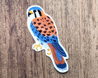 American Kestrel Vinyl Sticker - Water Resistant Laptop Decal