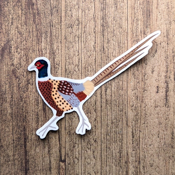 Ring Necked Pheasant Vinyl Sticker - Water Resistant Laptop Decal