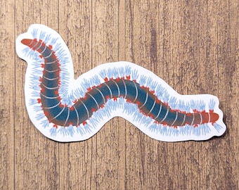 Bristle Worm Vinyl Sticker - Water Resistant Decal