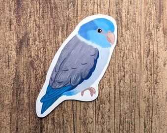 Blue Parrotlet Vinyl Sticker - Cute Bird Decal For Water Bottle Or Laptop