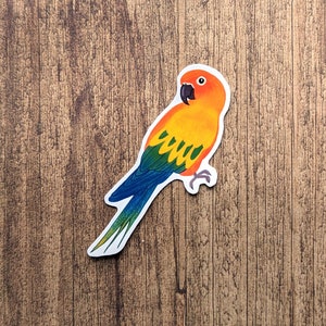 May include: A colorful sticker of a parrot with orange, yellow, green, and blue feathers. The parrot has a red head and a white outline. The sticker is on a wooden surface.