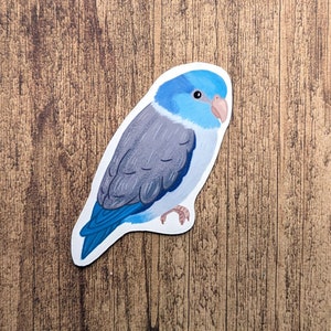 Blue Parrotlet Vinyl Sticker - Cute Bird Decal For Water Bottle Or Laptop