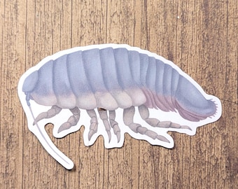 Deep Sea Isopod Vinyl Sticker - Water Resistant Decal