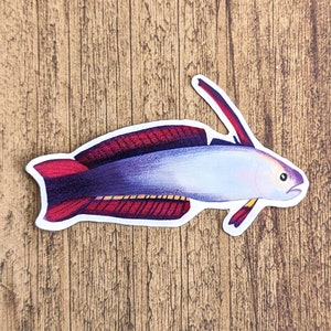 Purple Firefish Vinyl Sticker - Water Resistant Laptop and Water Bottle Decal