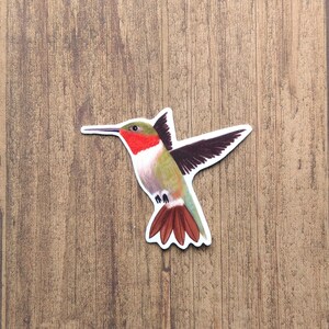 May include: A sticker of a hummingbird with a red head, green body, and black wings. The hummingbird is in flight with its wings spread out.