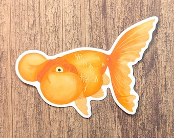 Bubble Eye Goldfish Vinyl Sticker - Water Resistant Laptop and Bottle Decal