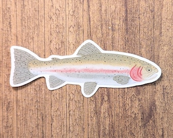 Rainbow Trout Vinyl Sticker - Water Resistant Fish Decal