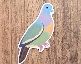 Pink Necked Green Pigeon Vinyl Sticker - Water Resistant Decal