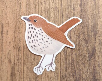 Wood Thrush Vinyl Sticker - Water Resistant Bird Decal