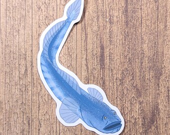 Dragon Goby Vinyl Sticker - Water Resistant Fish Decal